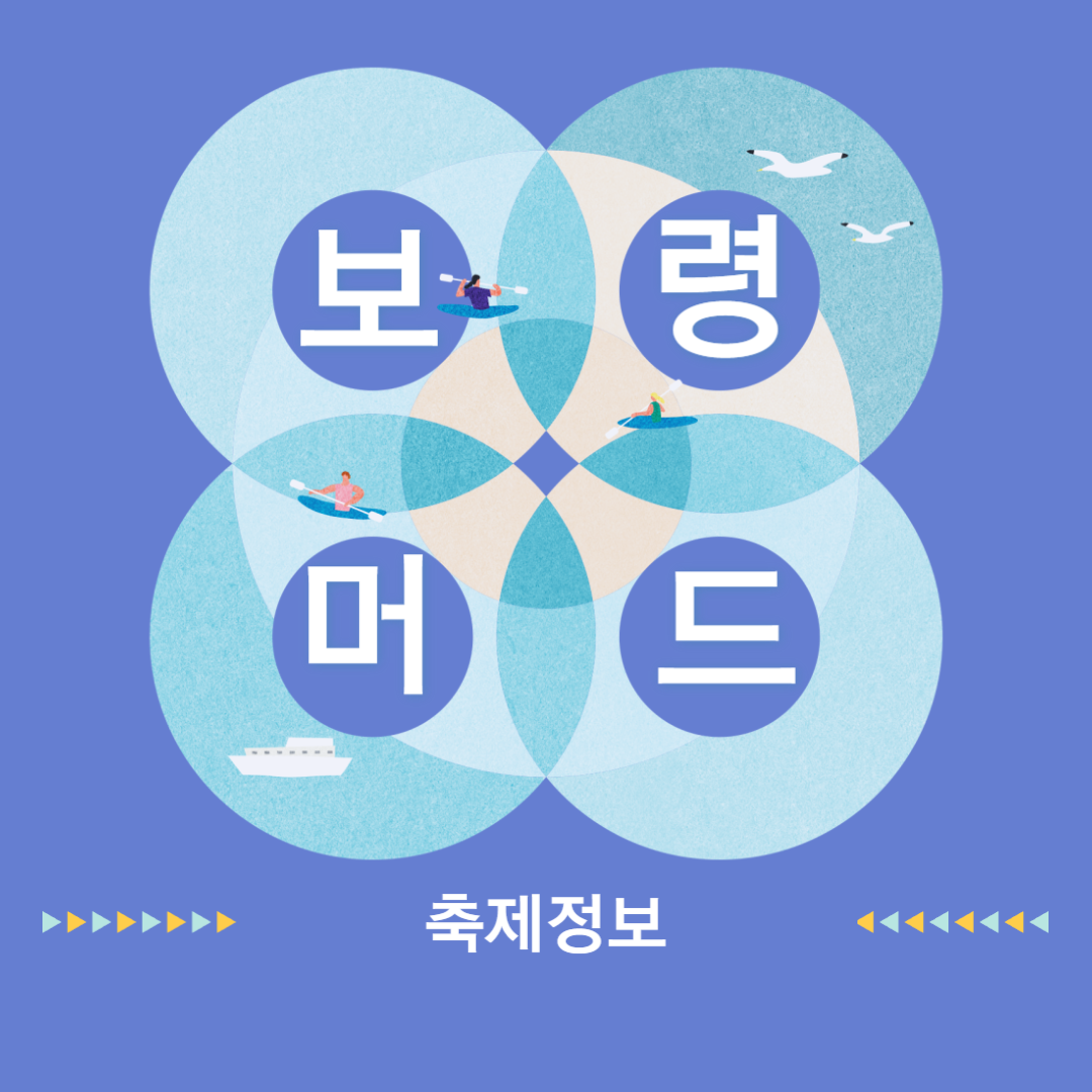 보령 머드축제