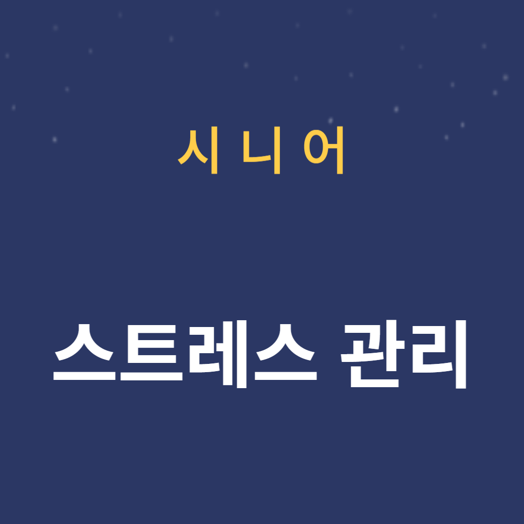 건강한 정신과 신체를 위한 노년기 스트레스 관리