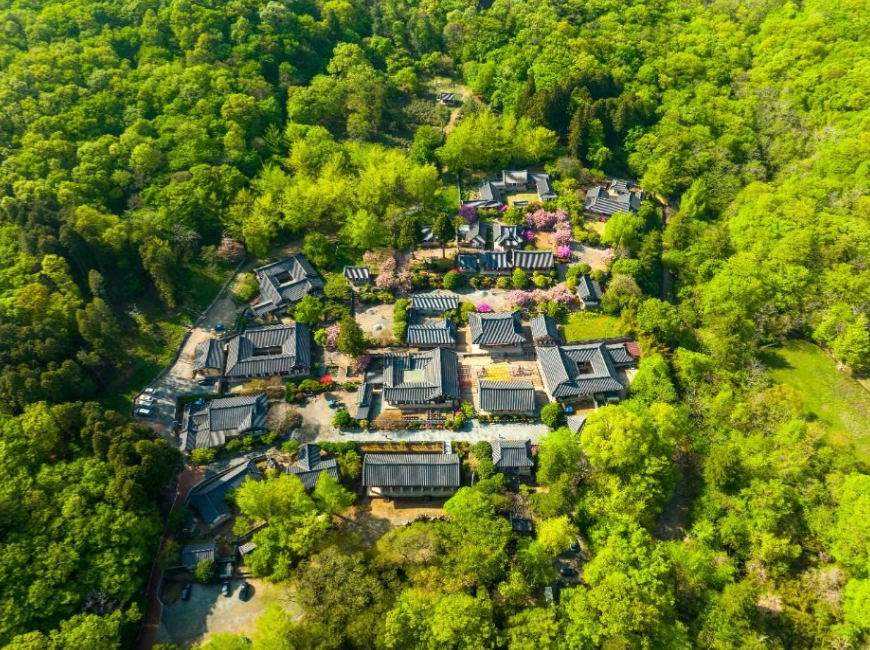 세계유산축전 제주 2025 - 홈페이지, 일정(기간), 행사 프로그램