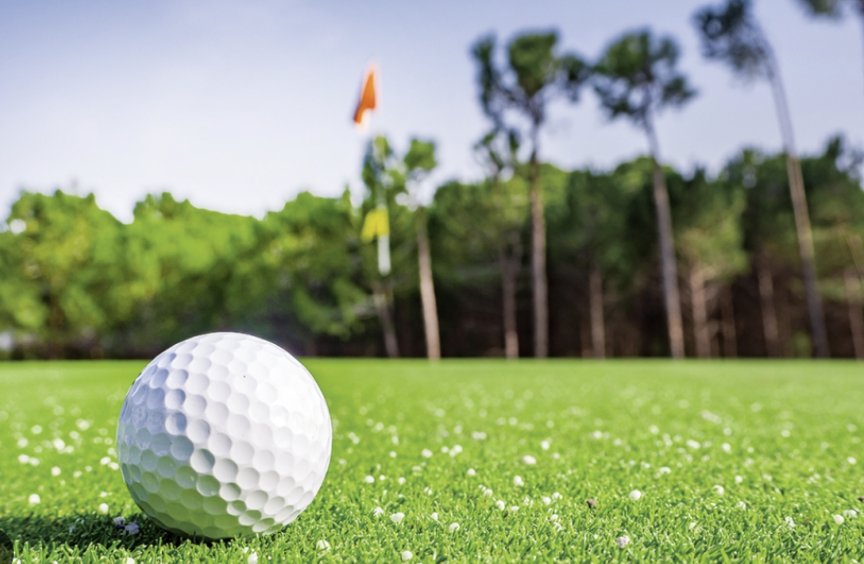 대중형골프장이용료