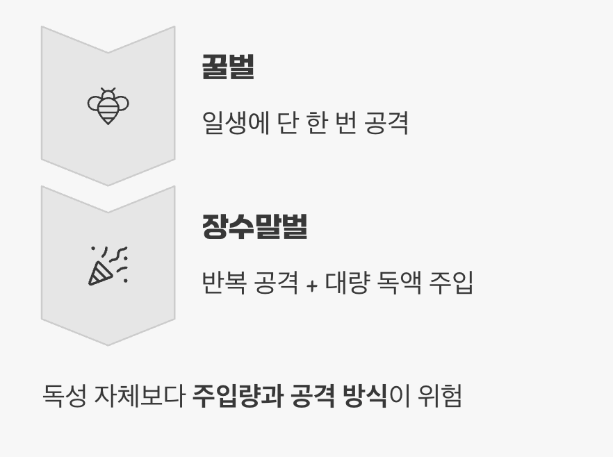 꿀벌 500마리, 소문의 진실