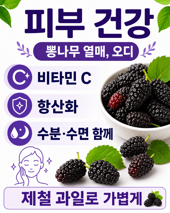 오디 효능