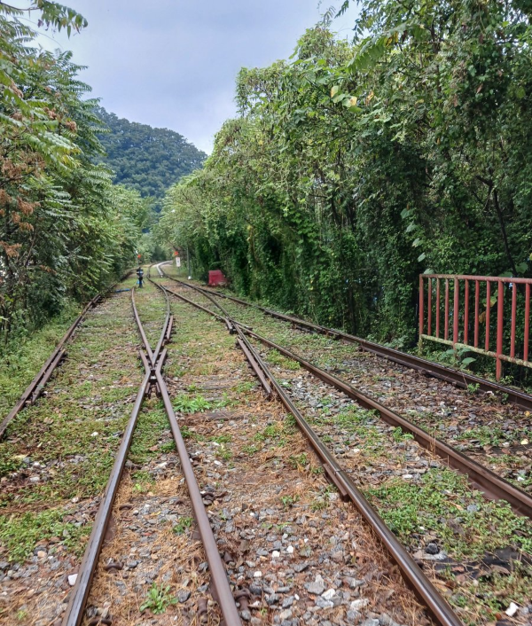 레일 복합선로