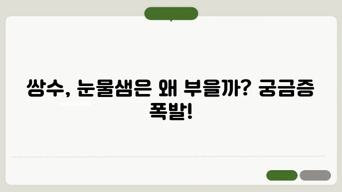 쌍수하고 눈물샘이 붓는 이유 알아보기