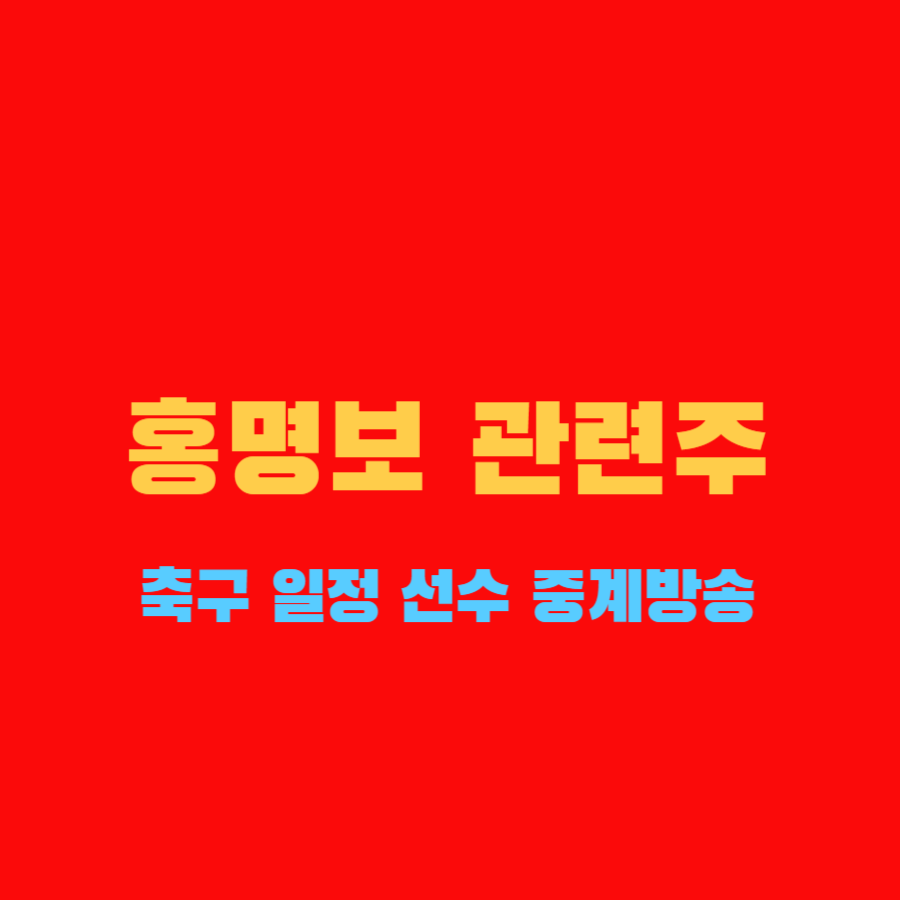 홍명보 관련주 월드컵 남자 국가대표 축구일정 중계방송 선수명단 정몽규