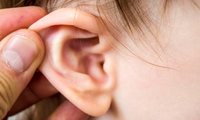 혈액순환에 좋은 음식 추천