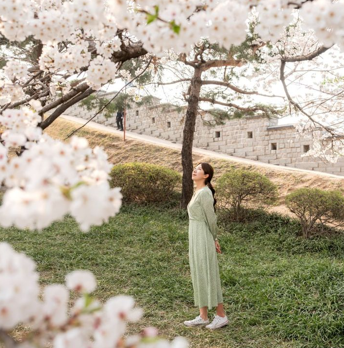 서울 근교 봄축제