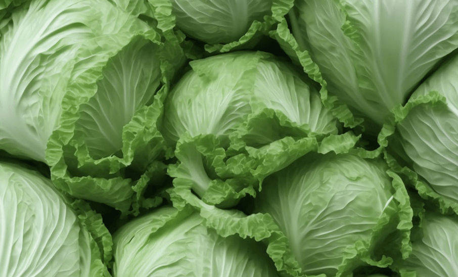 우울증에 좋은 음식 양배추가 쌓여 있다