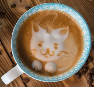 고양이에게 커피는 절대 NG. 잘못 먹었을 경우 증상과 대처 방법