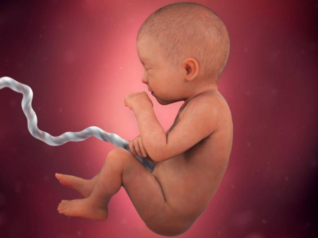 서울맘 행복수유 서비스