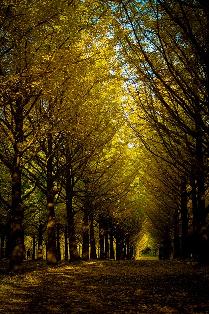 여신거래 안심차단 한눈에 알아보기