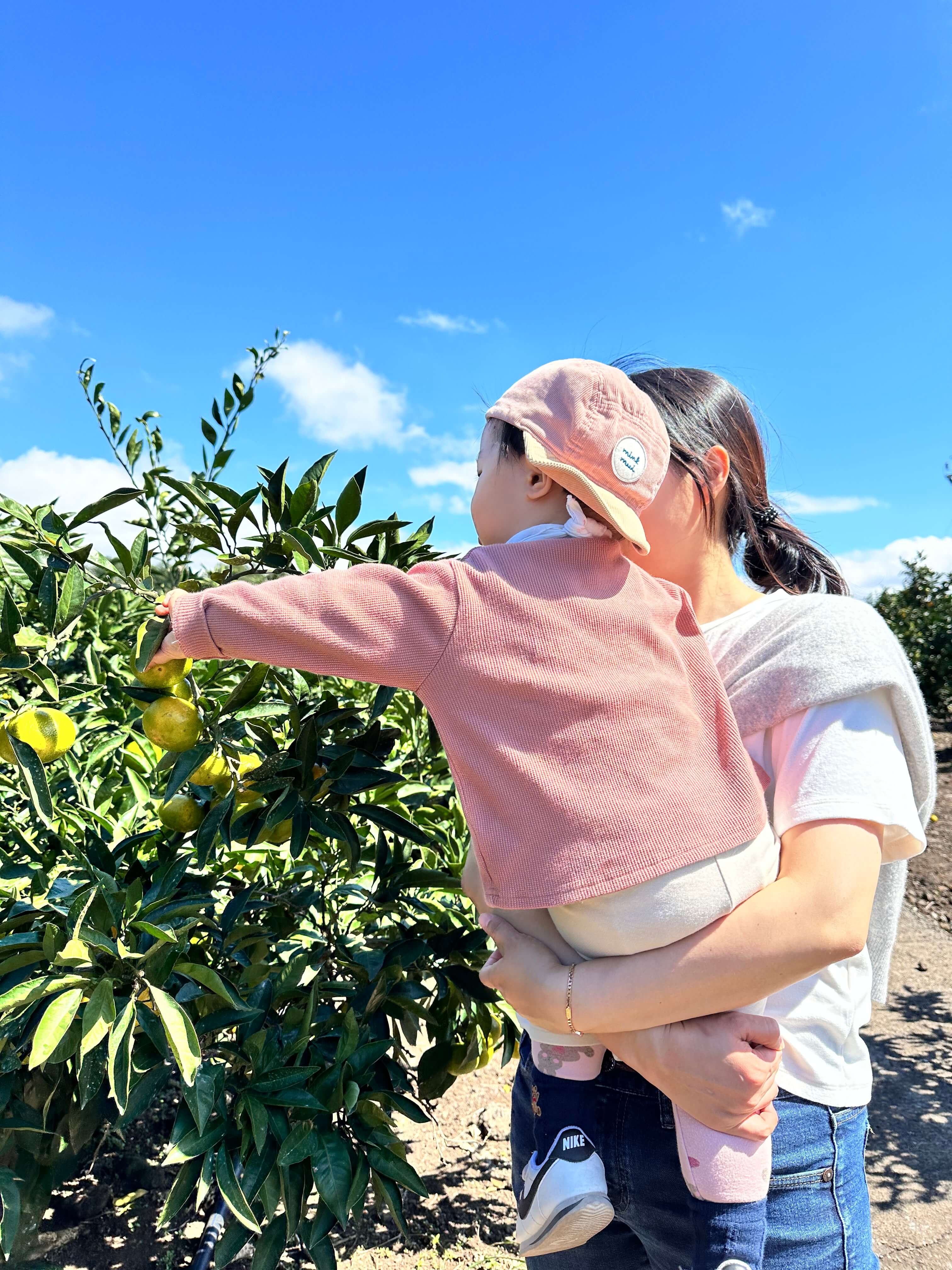 가을 아기와 함께 제주도 여행 휴애리자연생활공원