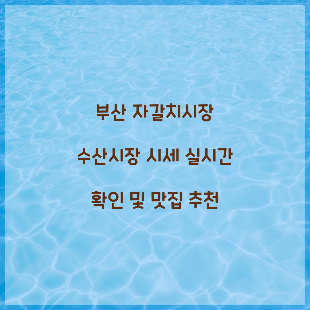 부산 자갈치시장 수산시장 시세 실시간 확인