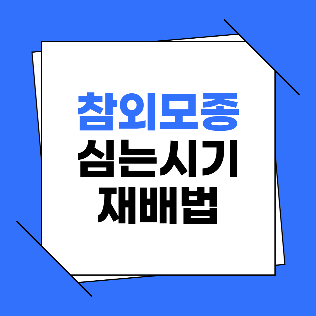 참외 모종 심는 시기와 재배법