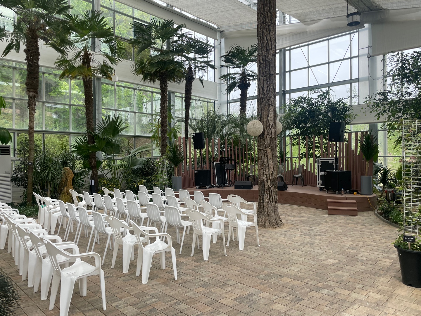 용인 자작나무숲 베툴라 대형 베이커피 카페