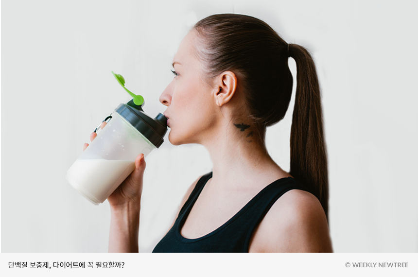 유청 단백질이란? - 효과와 섭취 방법
