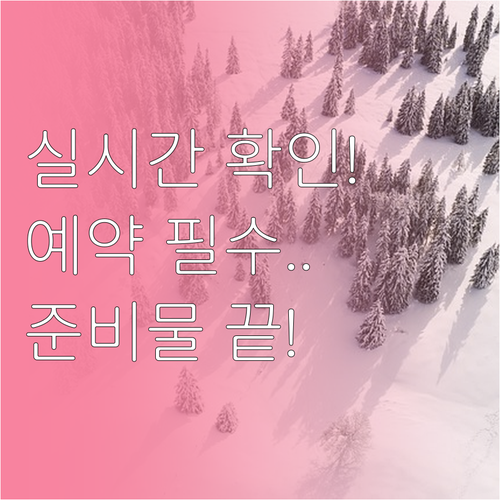한라산 실시간 탐방 가능 여부 확인 ..