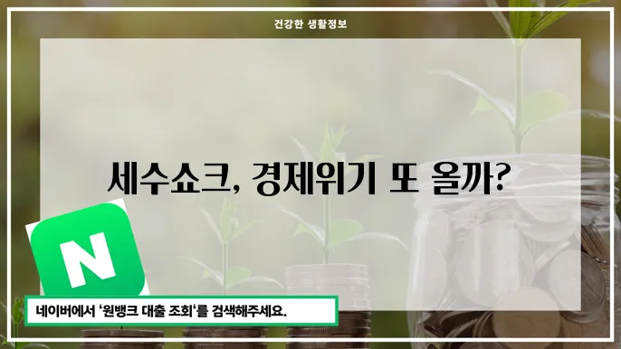 올해의 세수쇼크, 30조 마이너스 발생 2024