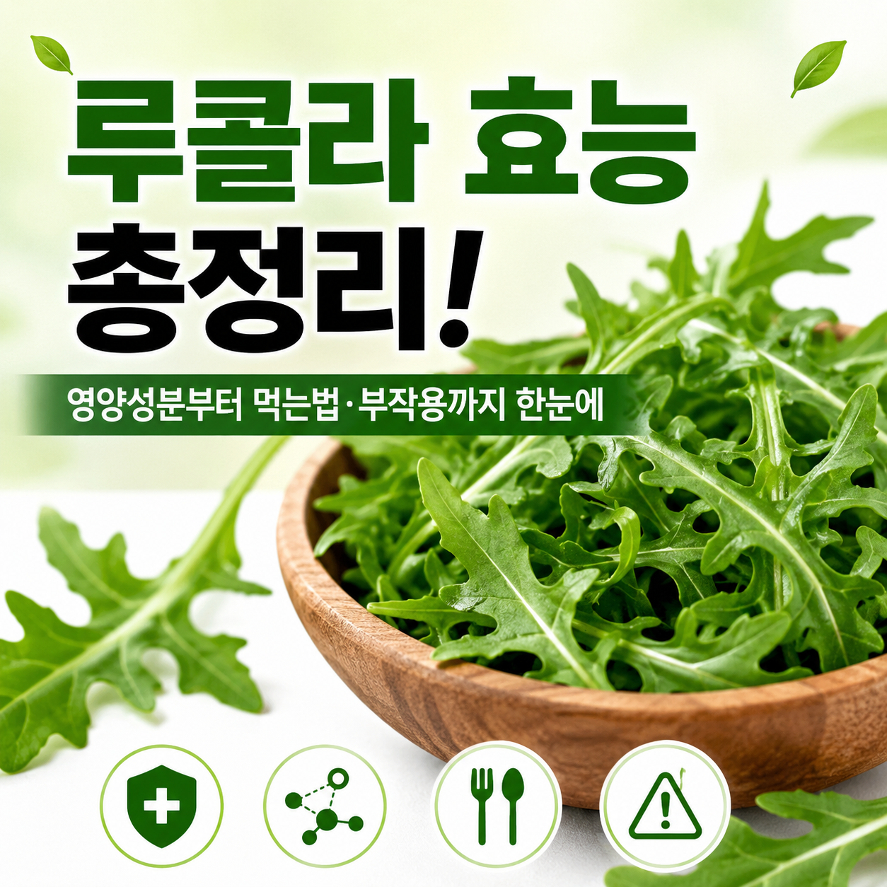 루콜라 효능