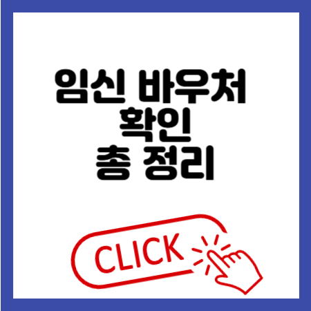 임신 바우처 확인 총 정리