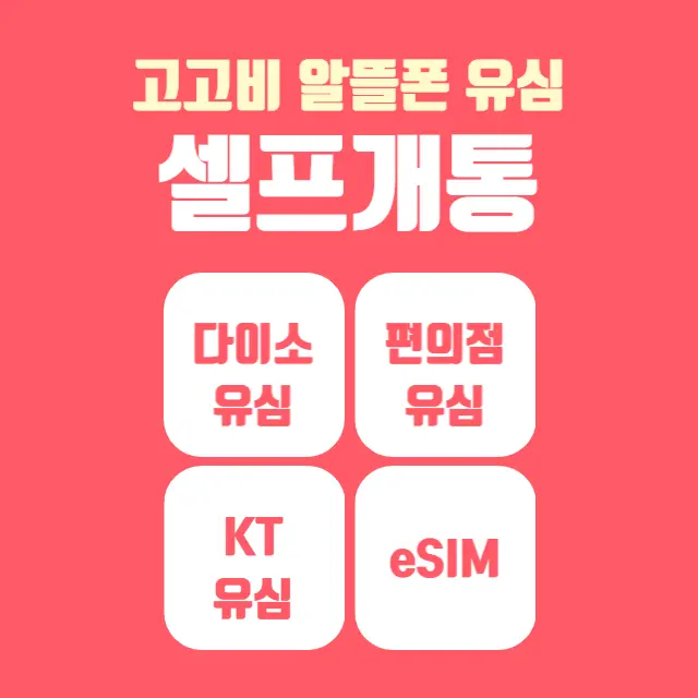 고고비-유심-개통방법