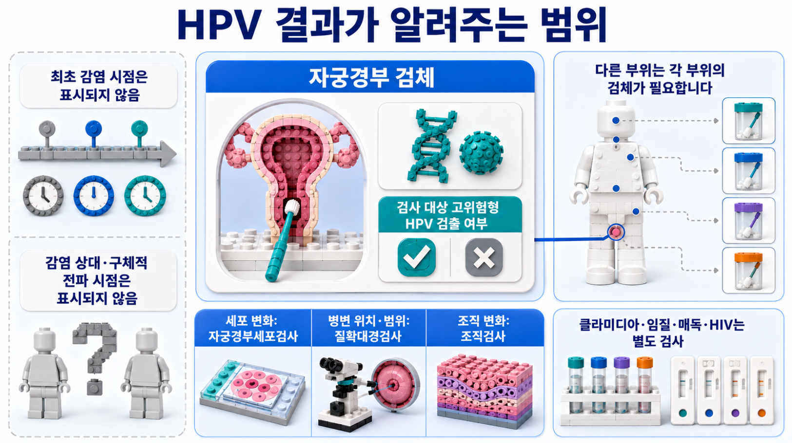 자궁경부 HPV 결과가 알려주는 범위와 세포검사&middot;질확대경검사&middot;조직검사 및 별도 감염검사를 설명하는 인포그래픽