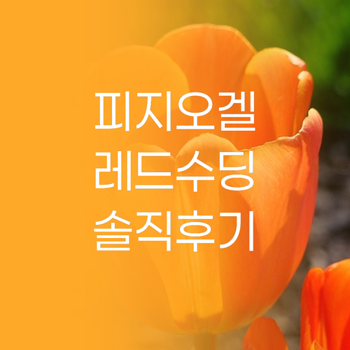 피지오겔 레드수딩 AI 로션 솔직 후