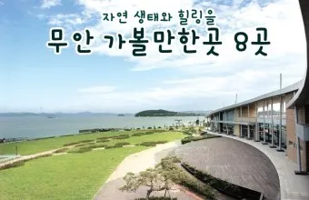 무안 가볼만한곳 베스트10 현지인 추천 필수코스_33