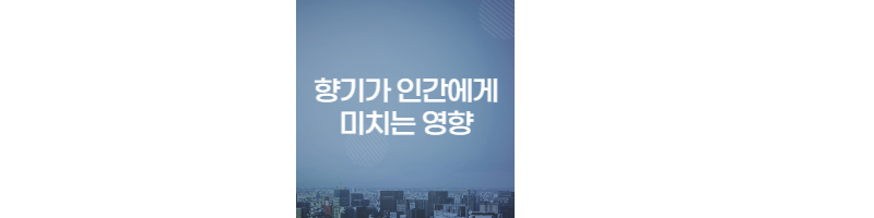 향기가-인간심리에-미치는-영향-섬네일