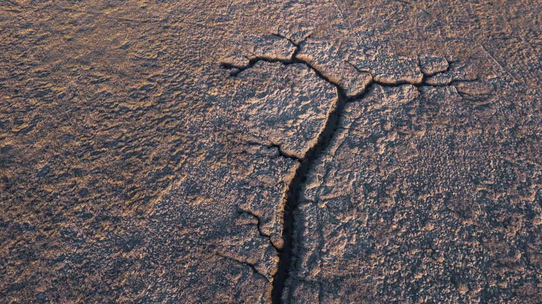 Seismicity