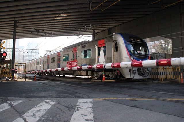 서울시 청년교통비 지원