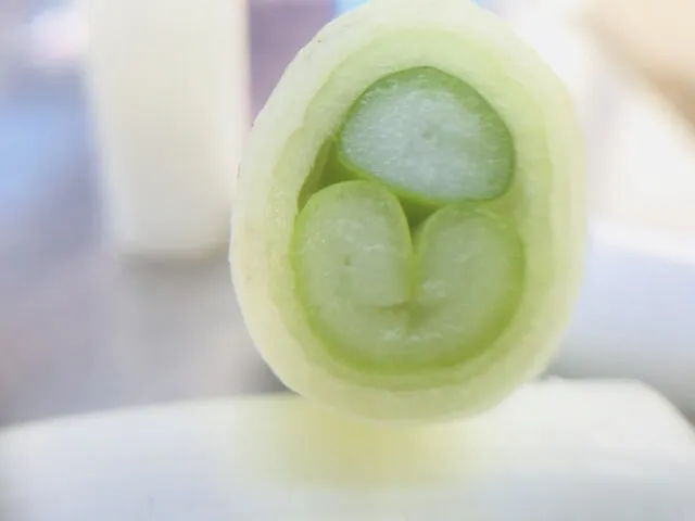 대파의 황화합물