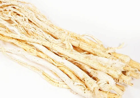 황기 자양 강화