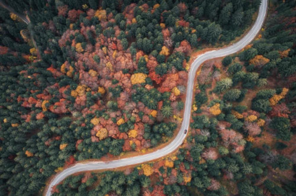 가을에 맞는 글귀