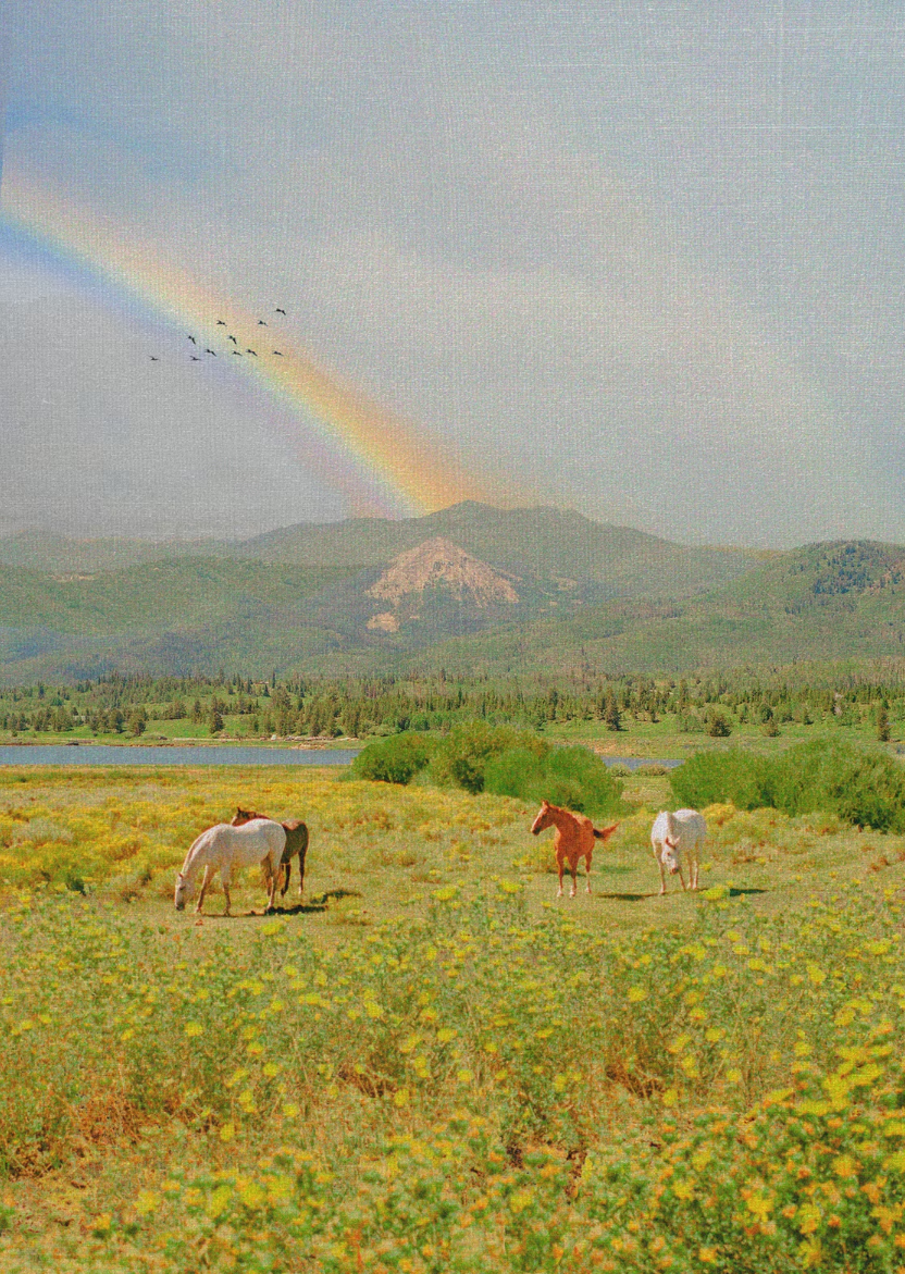 알렉스 키토(Alex Kittoe) 사진전