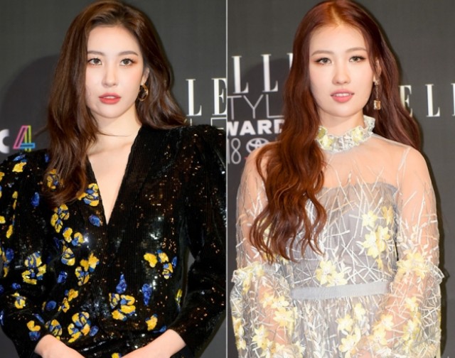 선미 닮은꼴