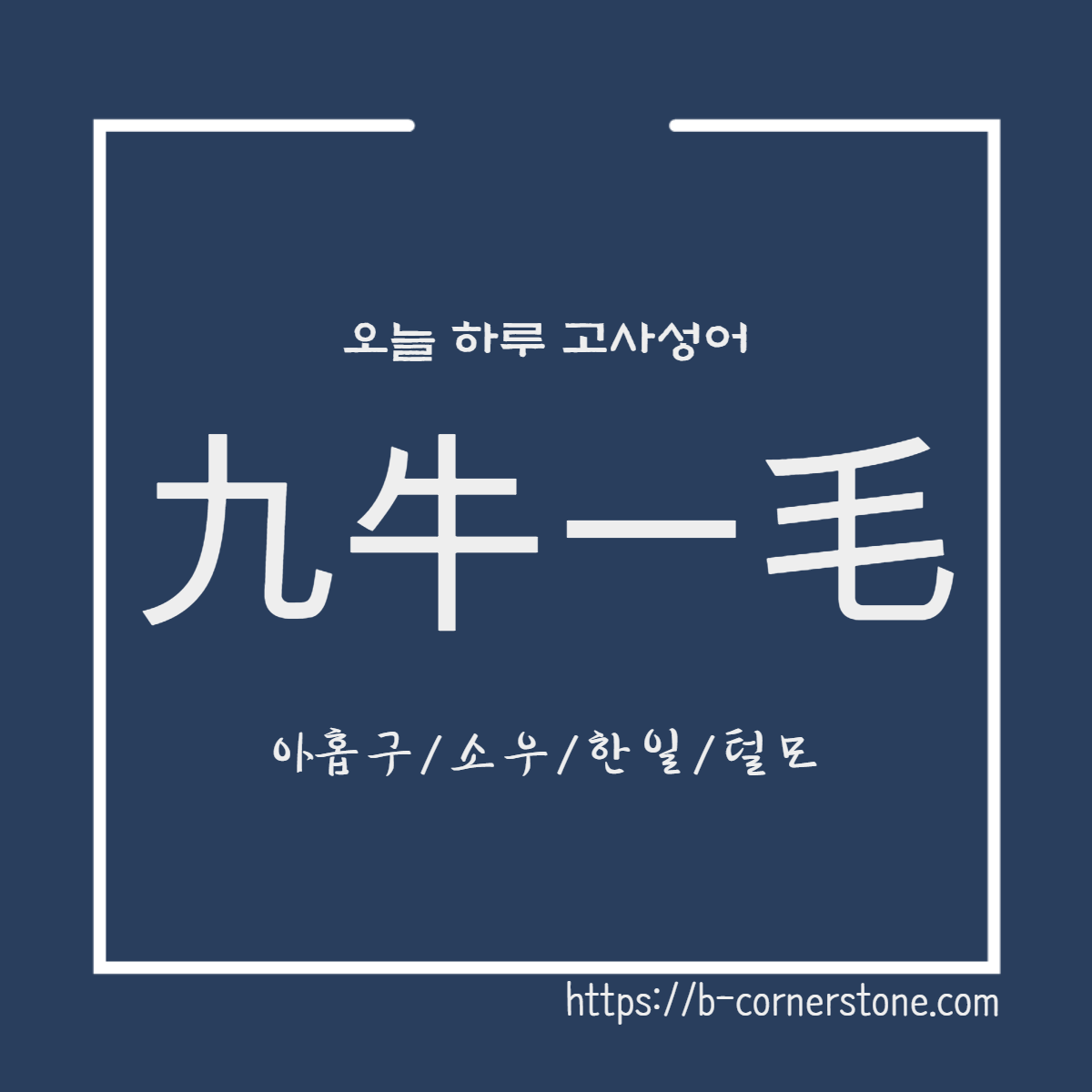 고사성어 구우일모