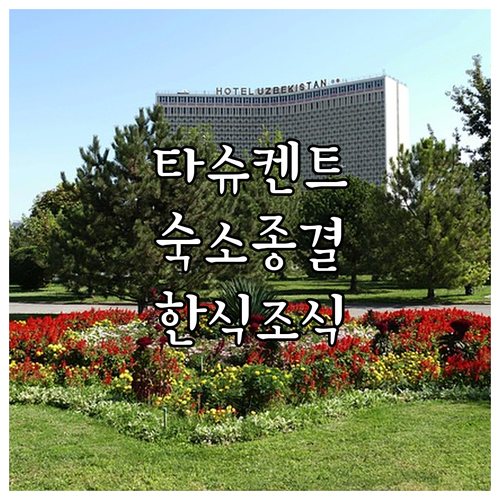 타슈켄트 숙소 추천 공항 근처 아파트..