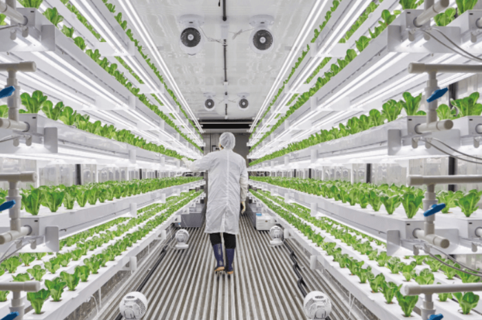 스마트농업의 개념