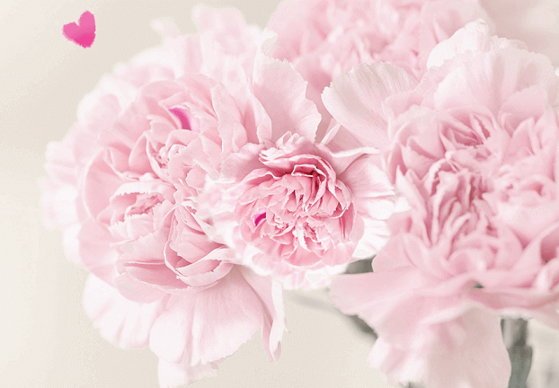 어버이날-감사카드-캡쳐이미지