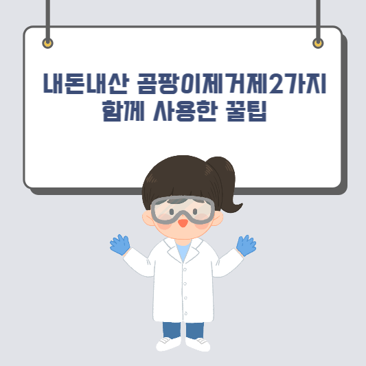 내돈내산 곰팡이 제거제 2가지를 함께 사용한 꿀팁