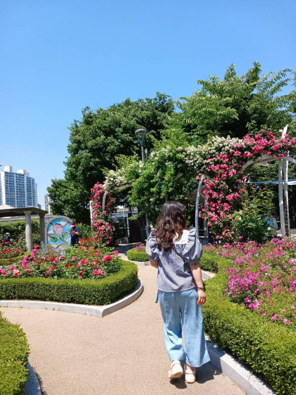 장미공원 조성된 화단