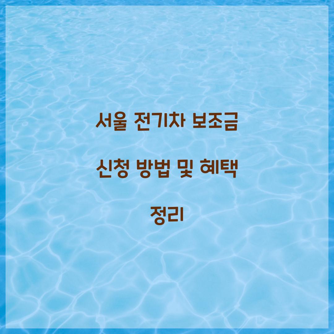 서울 전기차 보조금