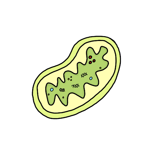 바이오 관련주 및 대장주 투자방법