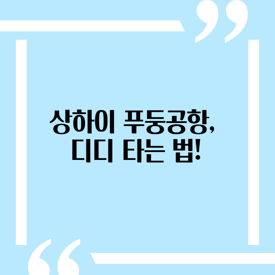 상해 푸둥공항(PVG)에서 디디 타는 법 : E-Hailing 위치 안내