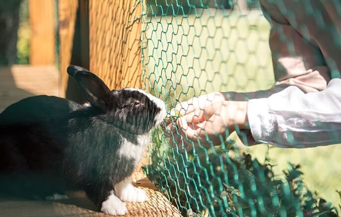 논산 가볼만한곳 베스트 10
