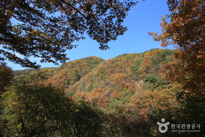 가을 여행지 단풍 놀이 추천 장소