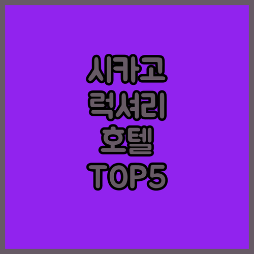 시카고 레이크 뷰 호텔과 역사적인 럭..