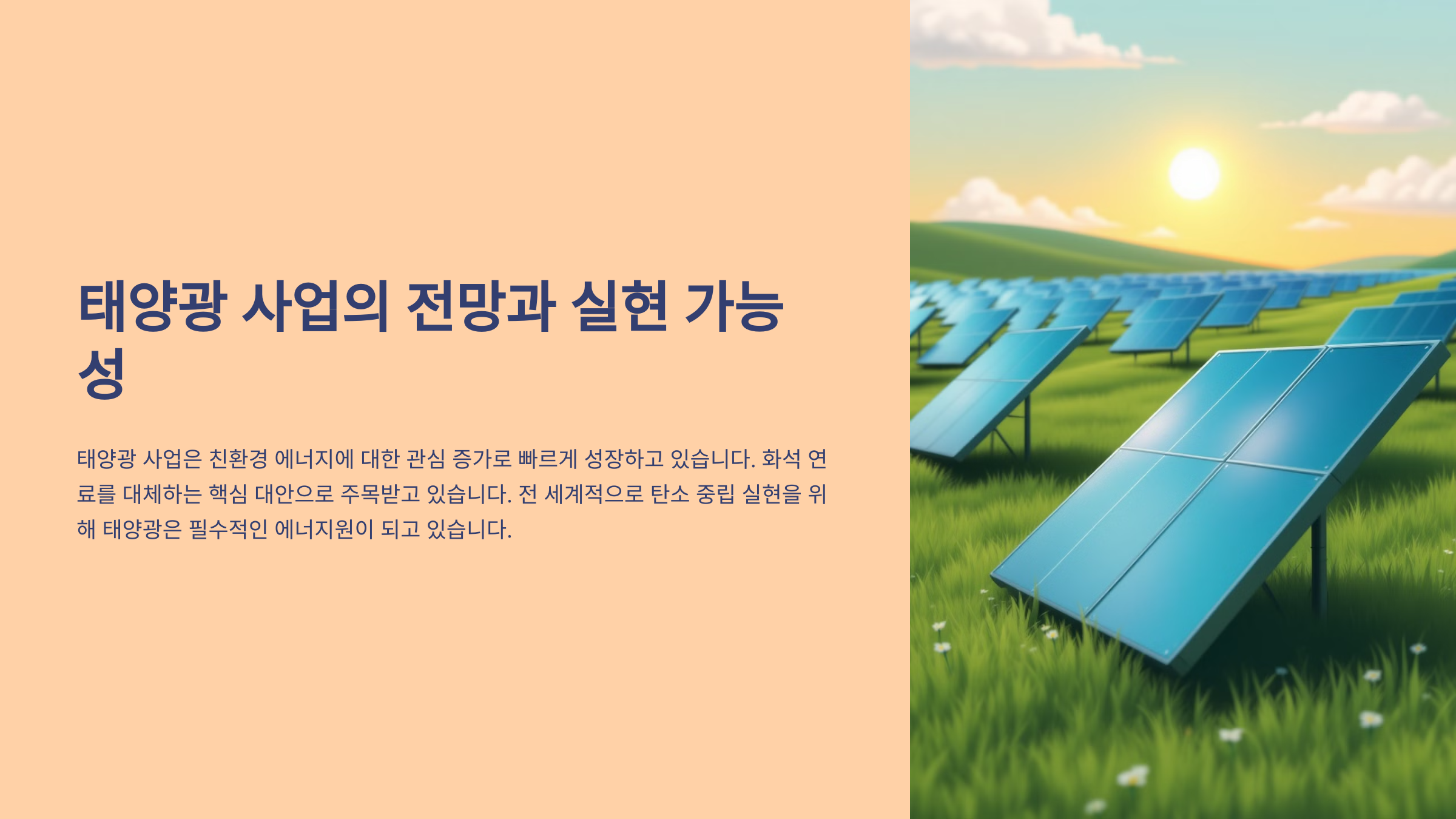 태양광 사업의 전망과 실현 가능성