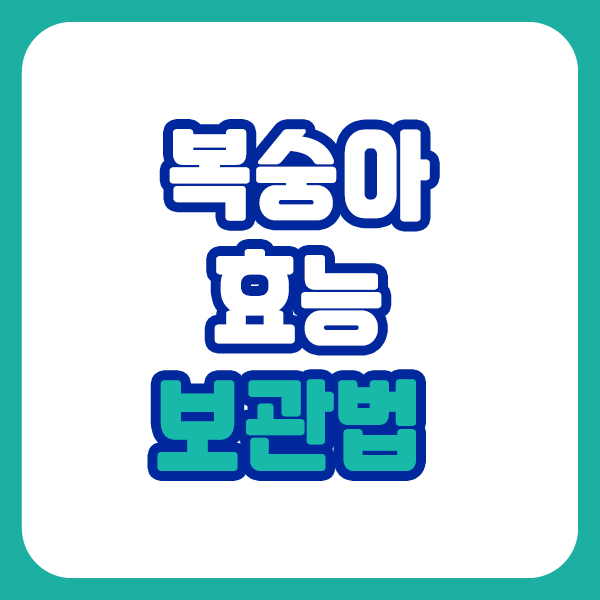 복숭아 효능 효과